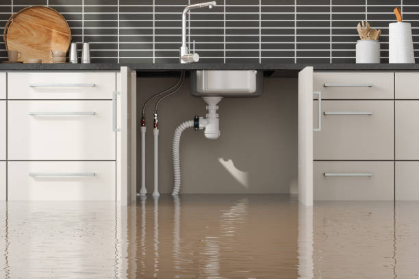 Best Water Damage Assessment and Inspection in North Babylon, NY